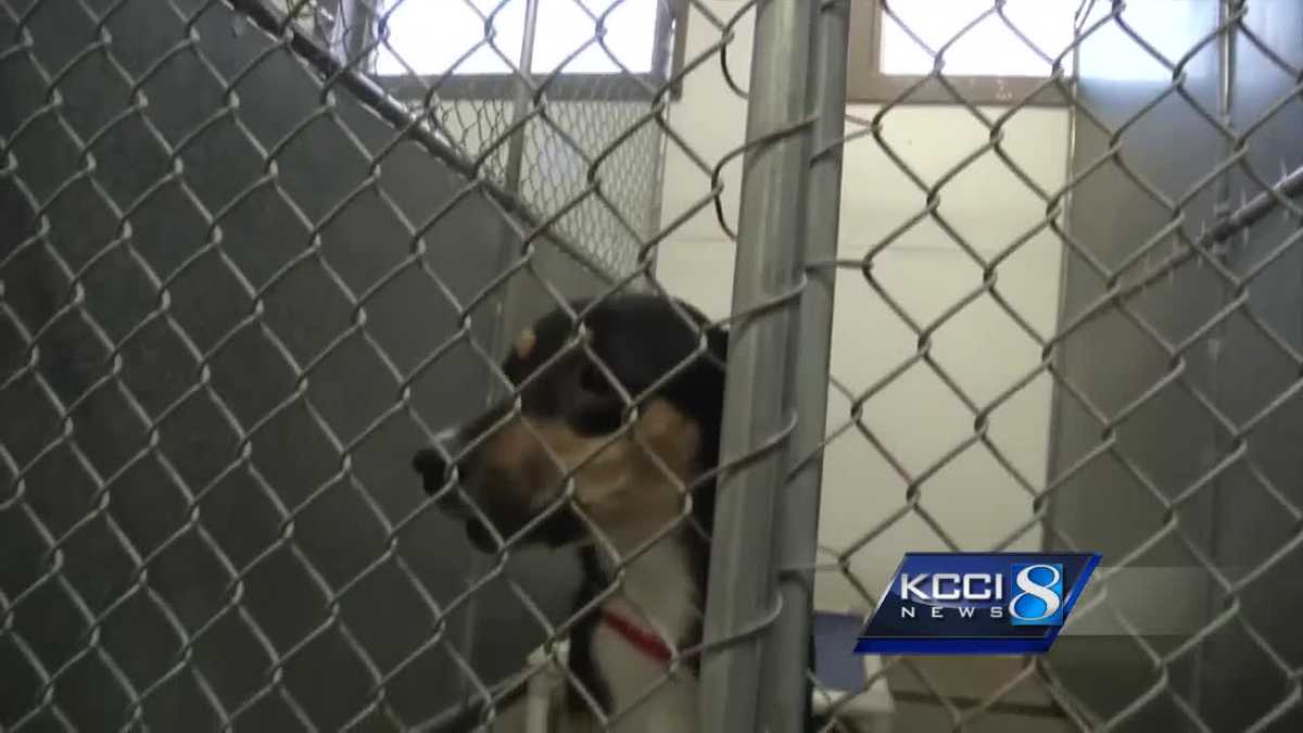 Number grows in Vinton animal raid, shelter closes for the weekend