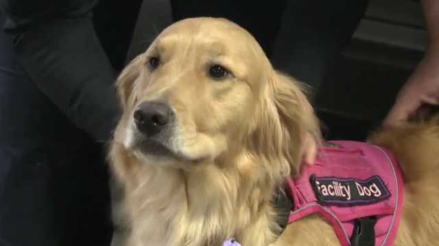Milwaukee police celebrate 12 Days of 'Crushmas' with facility service dog - Vimarsana News