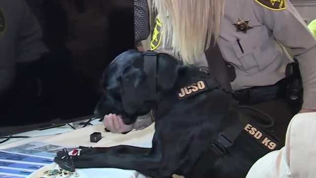 Alabama sheriff's office adds new, electronic detection K-9 to assist in protecting children - Vimarsana News