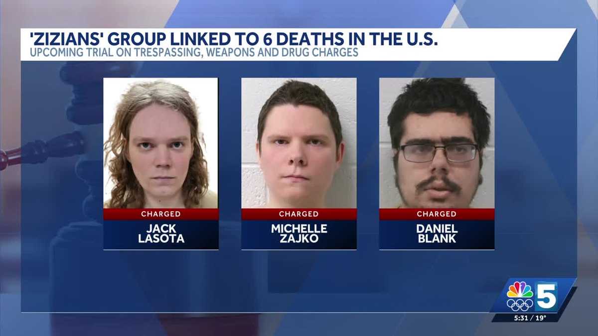 Judge allows members of Zizians group to work together on defense ahead ...