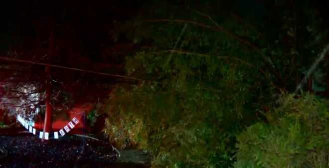 Tree falls on home along Cedarhurst Way in Sacramento County