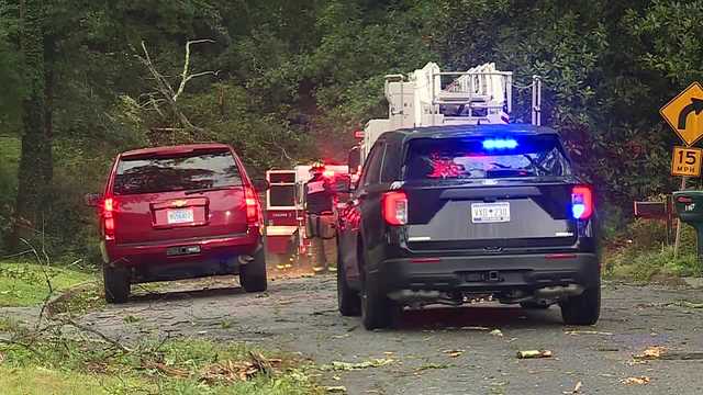 Tree falls in Anderson County, killing Upstate teen,officials say - Vimarsana News