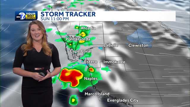 Sunday forecast: Another warm day with cooling showers across Southwest Florida - Vimarsana News
