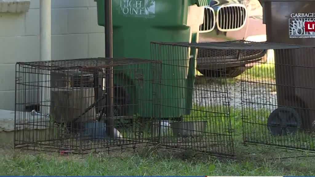 Man and dogs found dead -- determined to be carbon monoxide poisoning