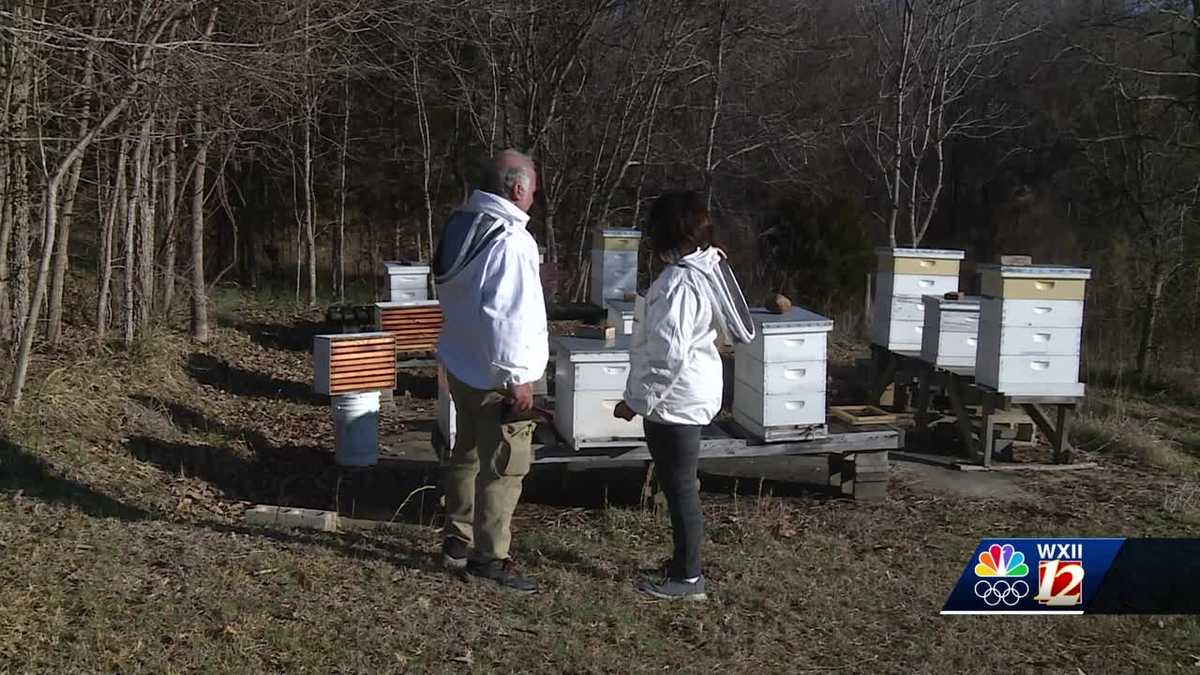 Local Master Beekeeper holding free 5 week class in honeybees education ...