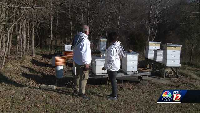 Local Master Beekeeper holding free 5 week class in honeybees education in Clemmons - Vimarsana News