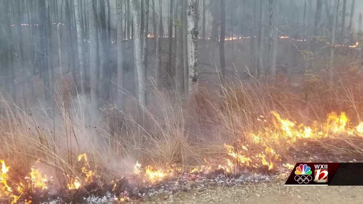 Pilot Mountain fire will bring new growth to mountain
