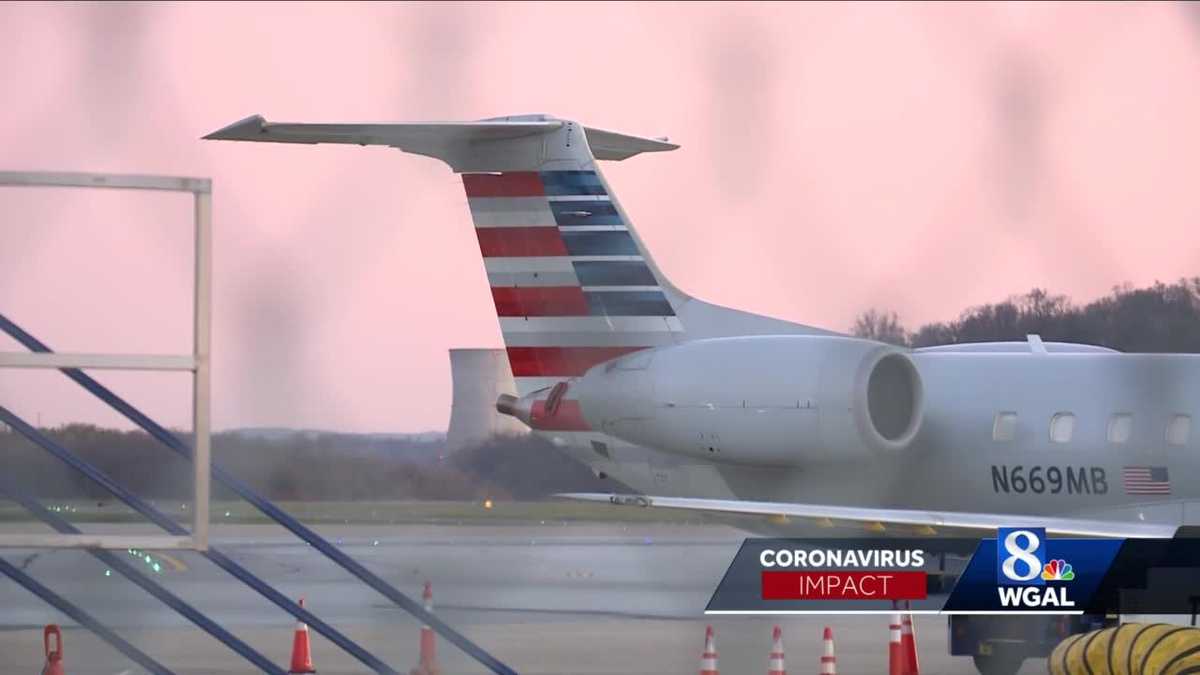 COVID-19 travel restrictions impact on flights into 