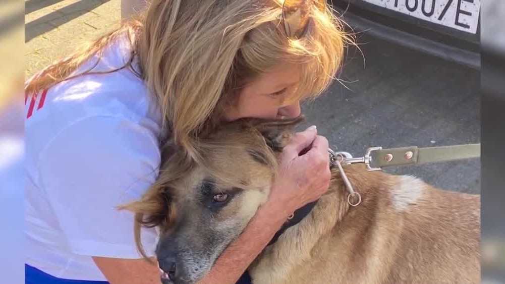 Big Dog Ranch Rescue founder returns from trip near Ukraine