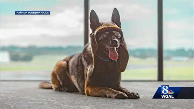 Photo shoot held for Lancaster County K-9 officer - Vimarsana News