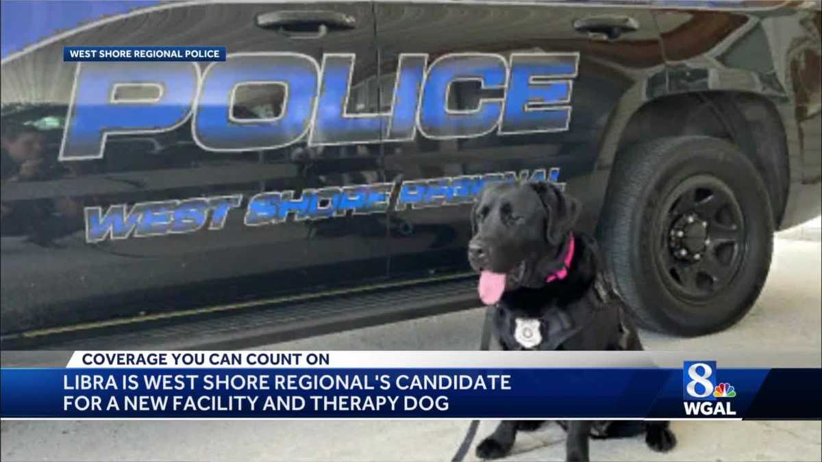 K9 officer in Cumberland County training to therapy dog