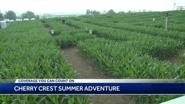 Cherry Crest Summer Adventure in Lancaster County - Vimarsana News