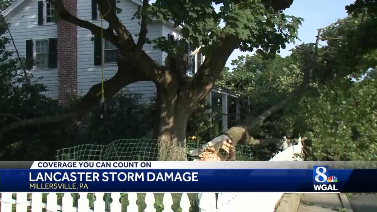 Strong storms wreak havoc across the Susquehanna Valley