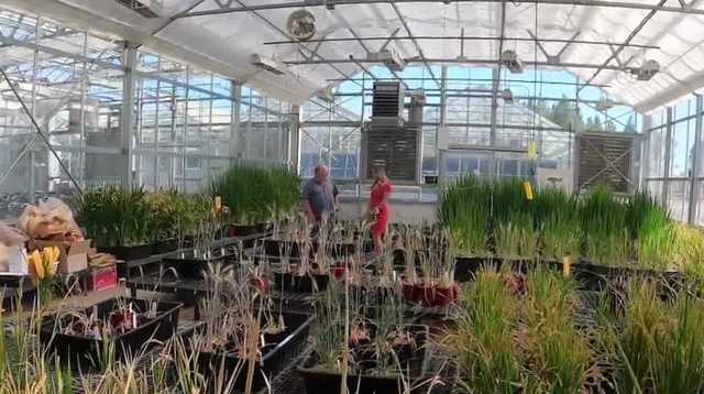 How UC Davis research could save farmers money while fighting climate change - Vimarsana News