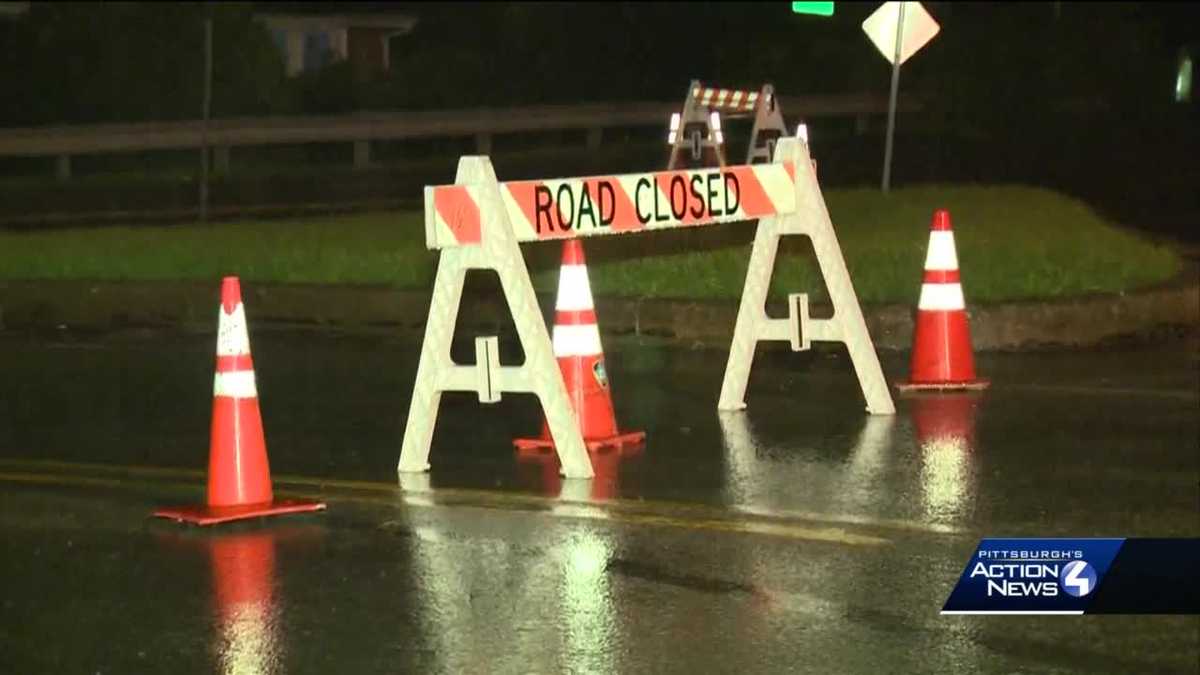 Downed Tree Knocks Out Power In Hampton Township