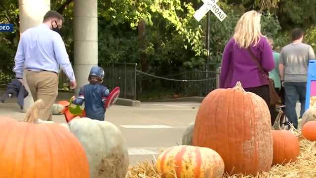 'Boo at the Zoo' returns for its 41st year, tickets on sale soon - Vimarsana News