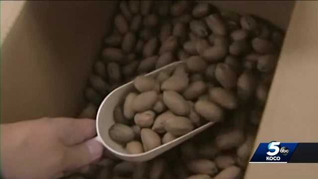 Summer drought likely to limit this year's pecan harvest - Vimarsana News