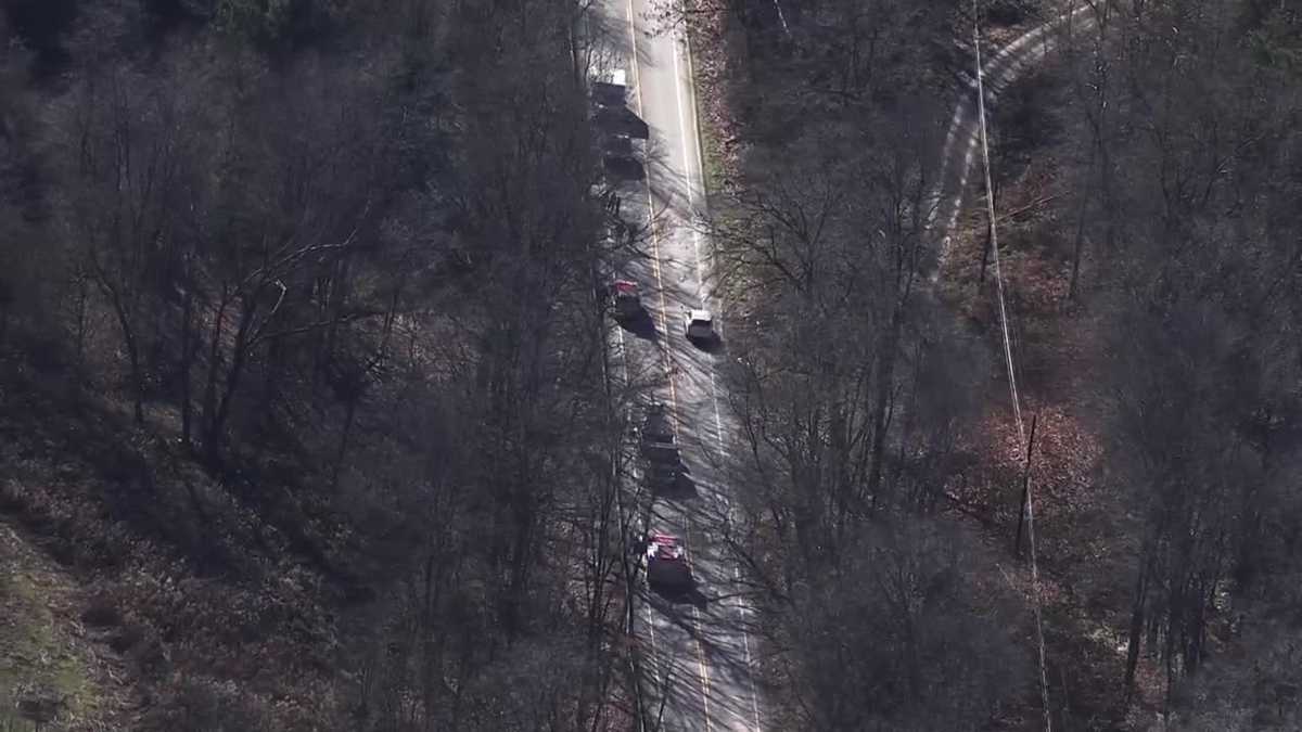 Crash involving Amish buggy injures one in Armstrong County