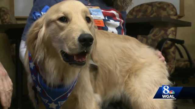 Penn State Health Children's Hospital adds new member to dog program - Vimarsana News