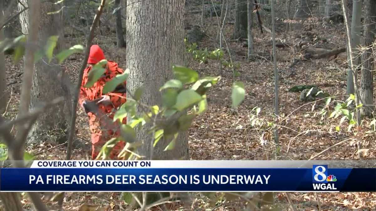 Pennsylvania firearms deer season is underway
