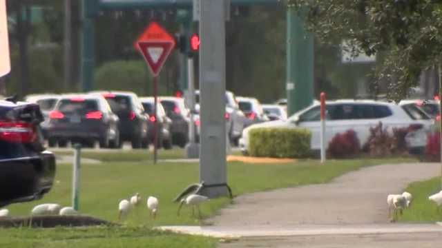 Port St. Lucie mayor talks work being done to address traffic problems amid growing population - Vimarsana News
