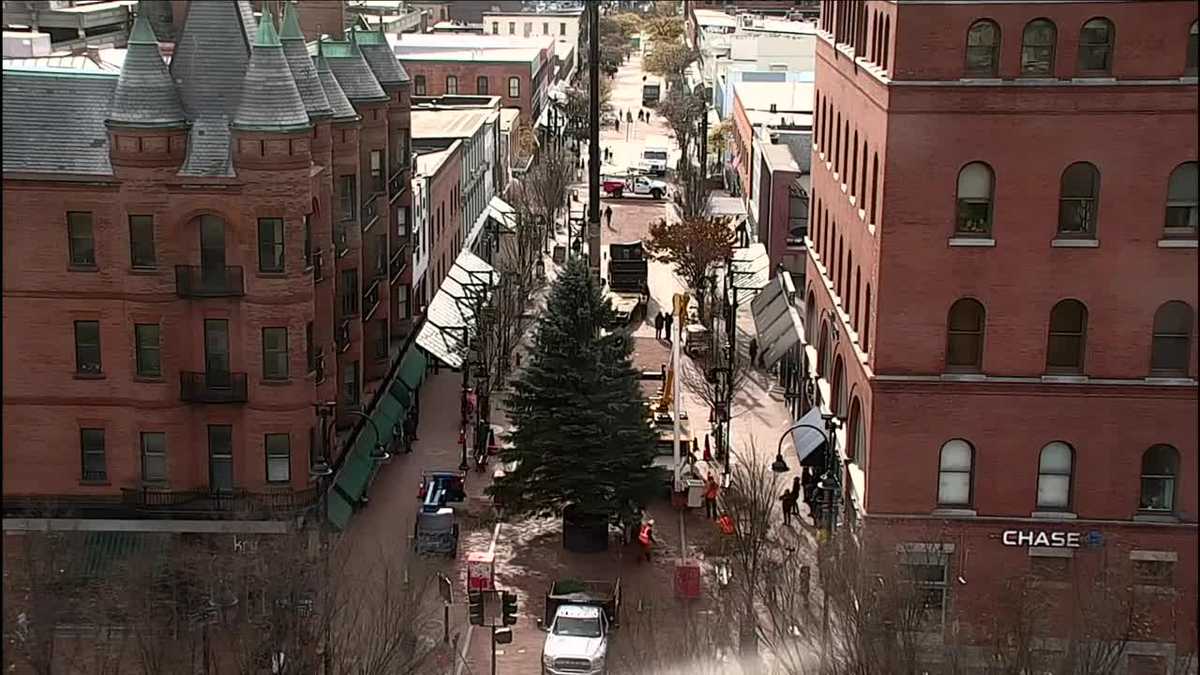 Church Street Christmas Tree makes its way to Burlington