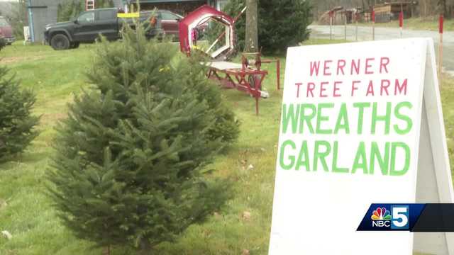 Christmas tree farms lost crop from summer's floods and constant rainfall - Vimarsana News
