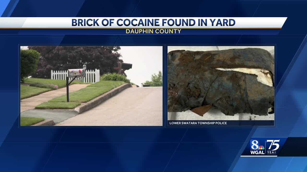 Man finds brick of cocaine while performing yard work in Dauphin County - Vimarsana News
