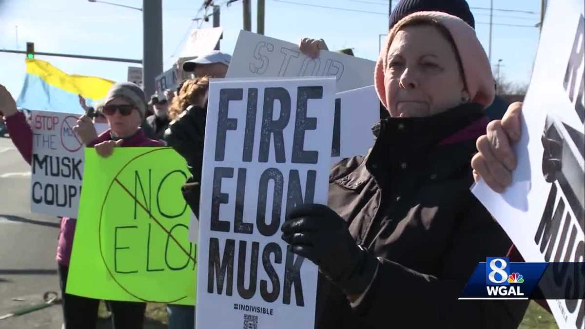 Protestors gather outside Tesla dealership in Cumberland County