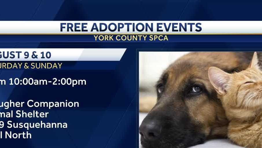 poster image 2025 08 05t213751 875