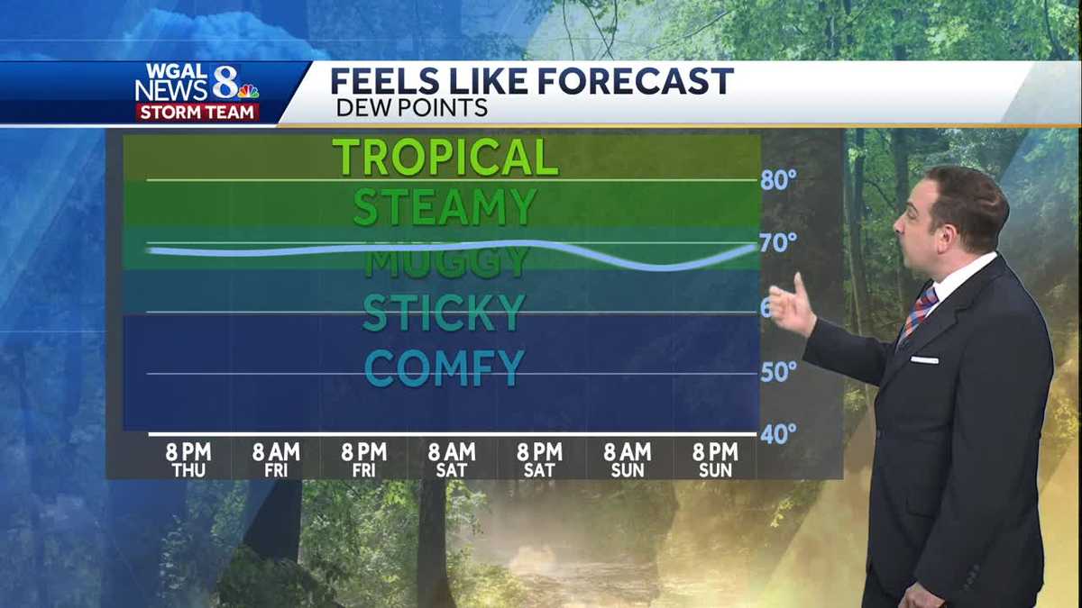 Stray Storms, Still Steamy Friday; Hot Weekend Ahead