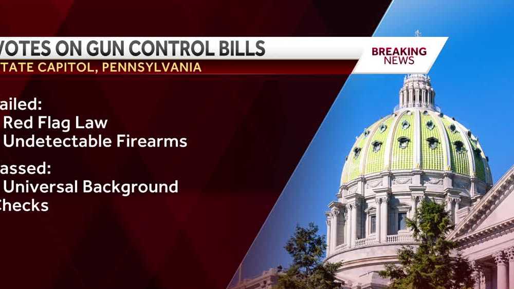 Gun control bills face mixed results at state capitol