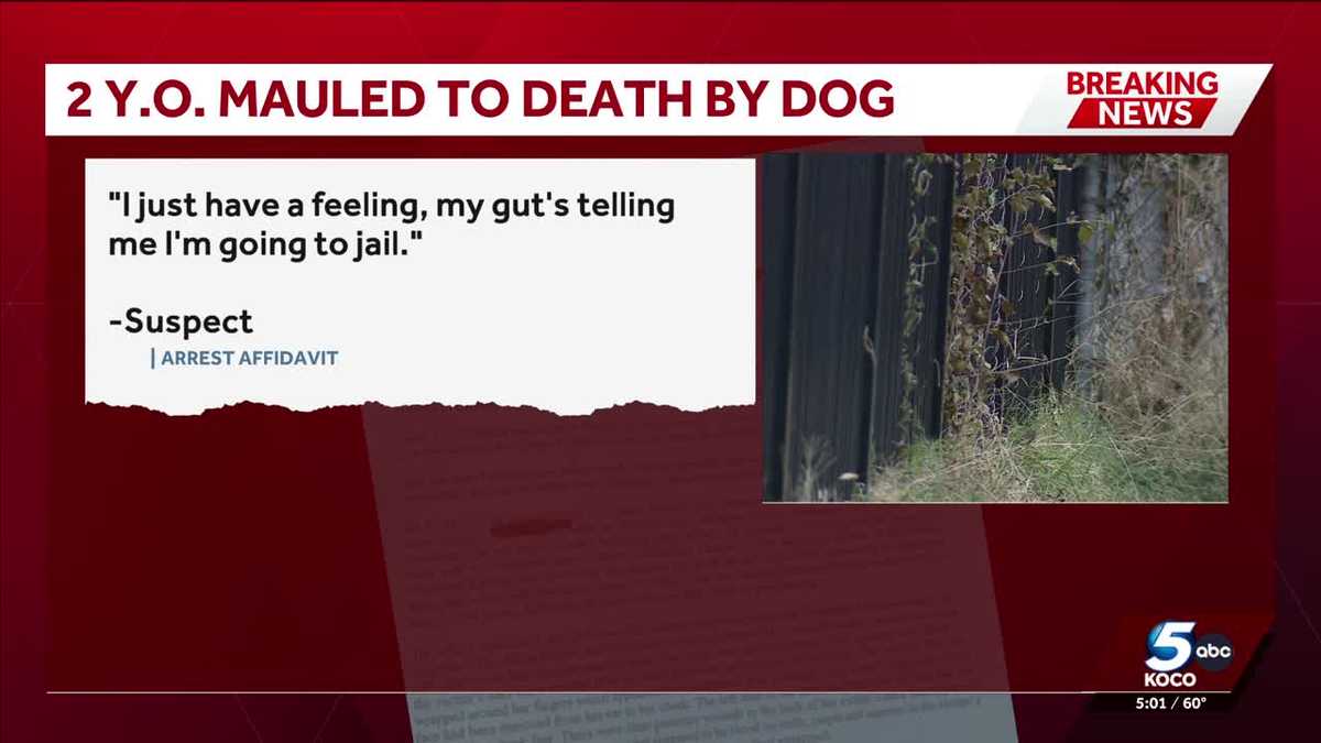 Oklahoma City parents arrested after toddler's fatal mauling by family dog