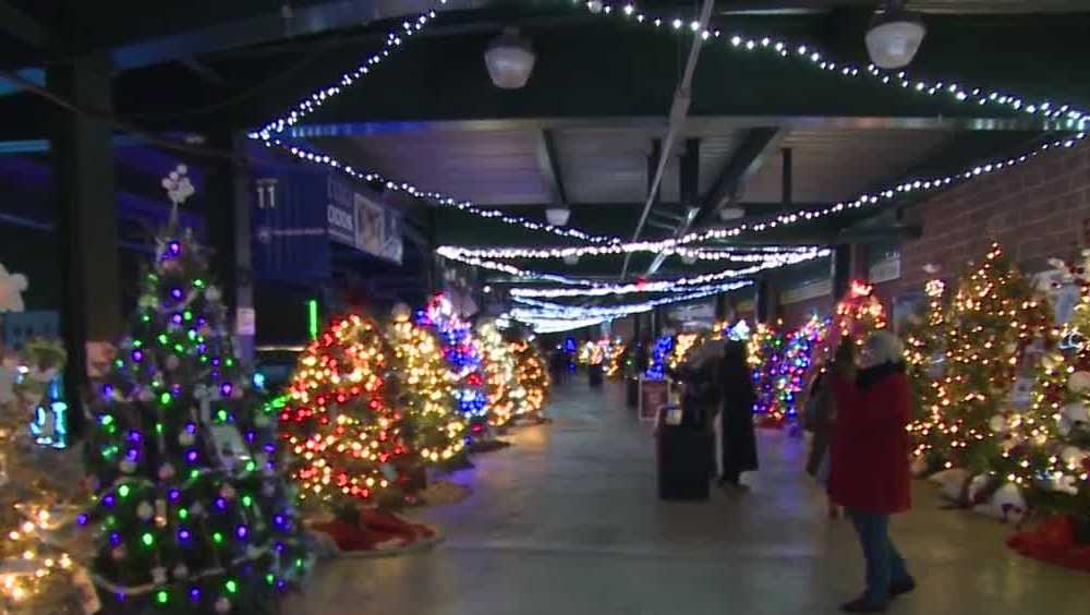 Grand opening of Christmas Tree Lane at Penn Medicine Park features more than 100 trees