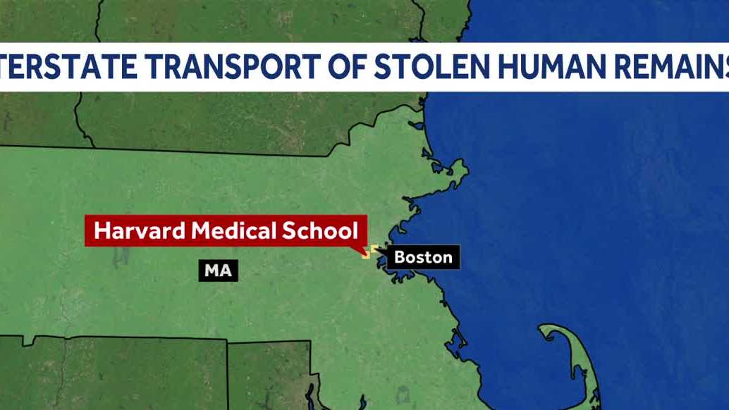 2 people sentenced after stealing human remains from Harvard morgue, selling them to others in Pa.