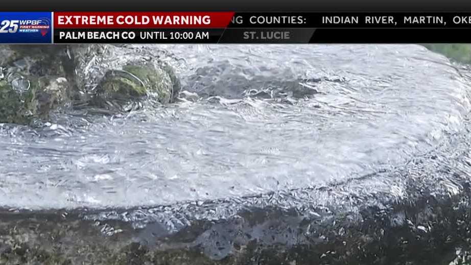 Freeze and extreme cold warnings continue as South Florida faces its ...