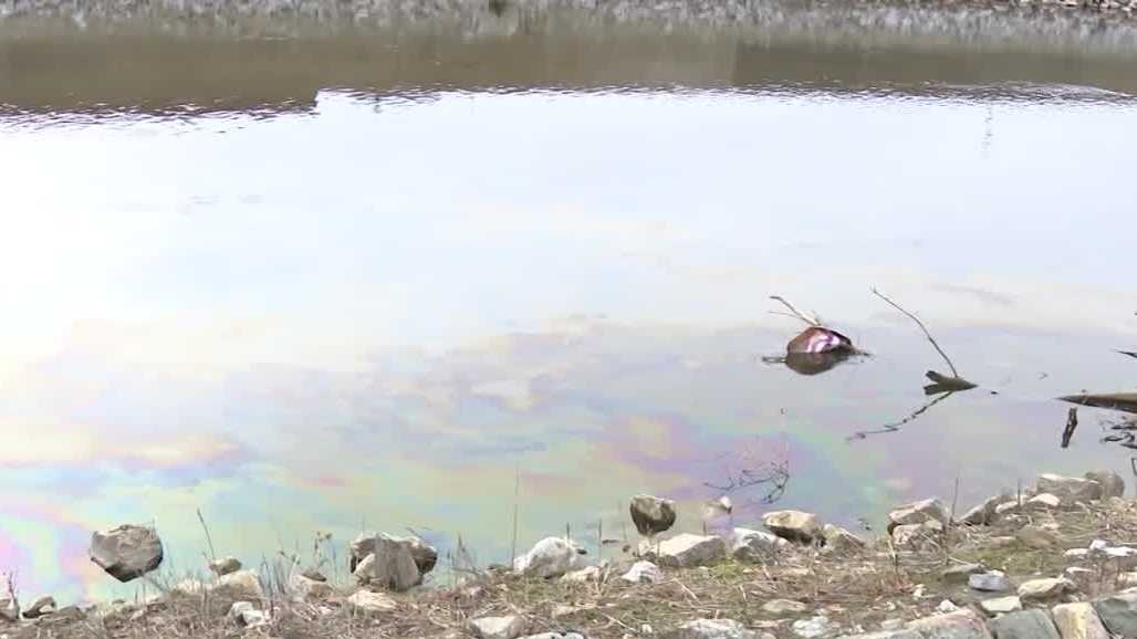 Motion filed to temporarily shut down salvage yard due to alleged stormwater pollution