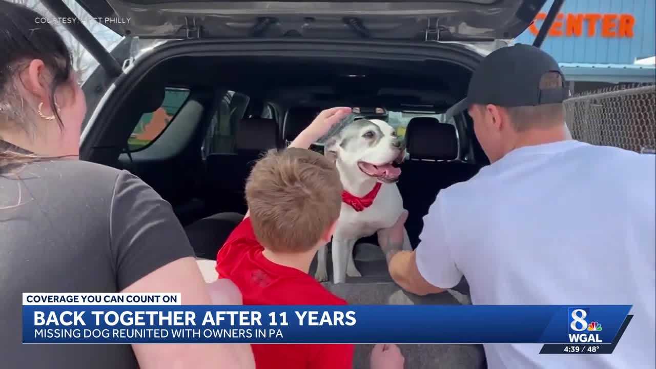 Philadelphia family reunited with dog stolen over 10 years ago