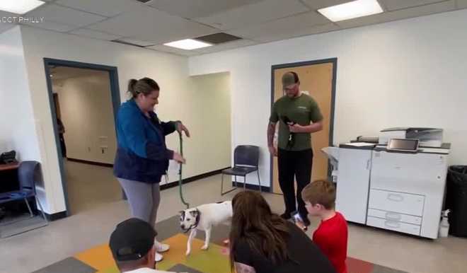 missing dog reunited with owners in pennsylvania