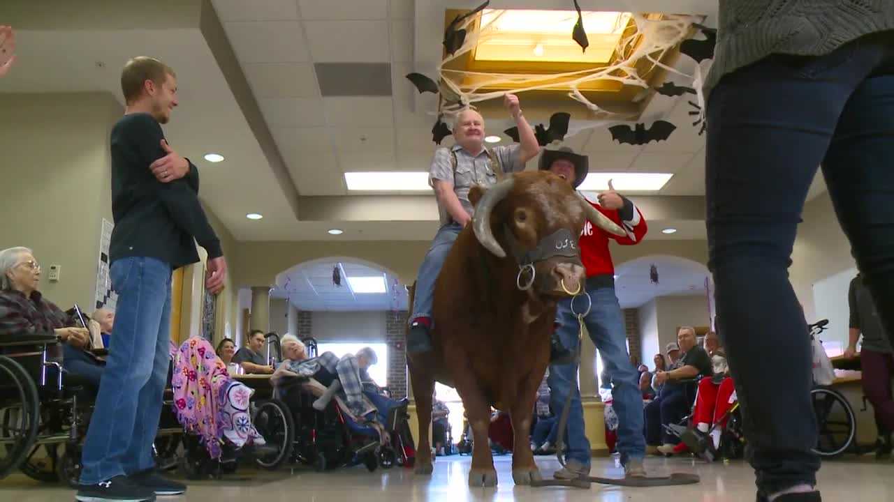 2,000-pound therapy bull who gained fame by visiting nursing homes has died