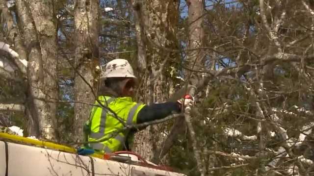 Part of Route 9 from Keene to Stoddard closes for several hours for crews restoring power - Vimarsana News