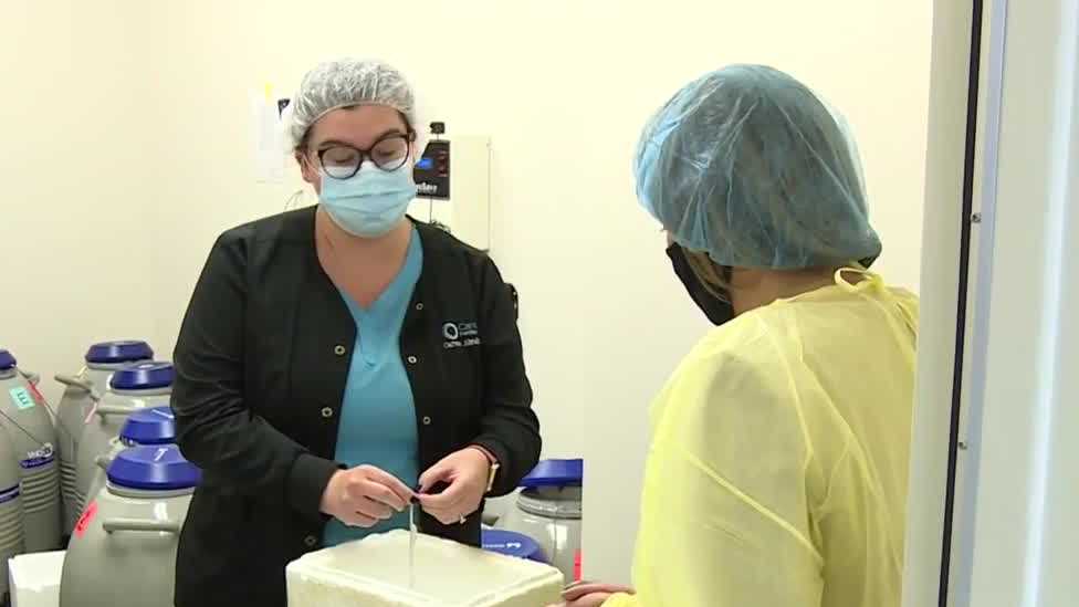 'You can freeze your eggs' Pandemic brings surge of interest in