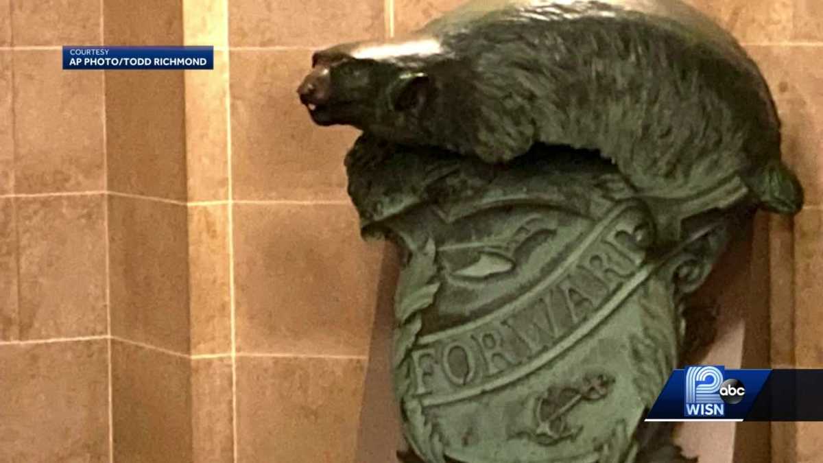 Navy wants Wisconsin Badger statue back
