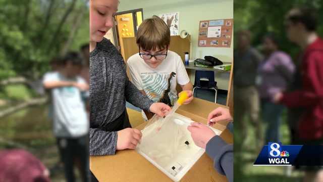 Rainbow trout population is getting help from students at a Mount Joy school - Vimarsana News