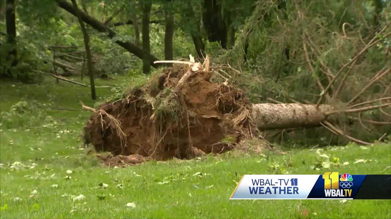 Carroll County residents assessing damage after Wednesday storm - Vimarsana News
