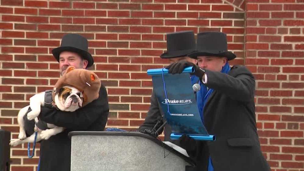 'Griff-Hog' predicts sunny weather for 2026 Drake Relays in Des Moines