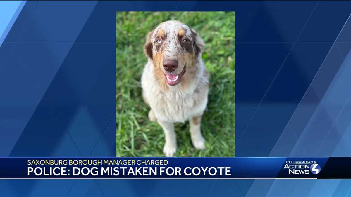 Saxonburg borough manager charged with killing Sarver neighbor's dog
