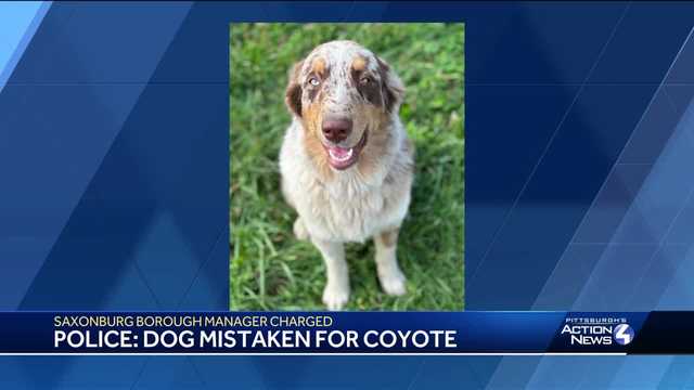 Saxonburg borough manager charged with killing Sarver neighbor's dog with crossbow - Vimarsana News