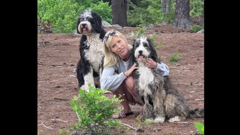 Wabah infeksi pernapasan di New Hampshire menyebabkan penyakit anjing
