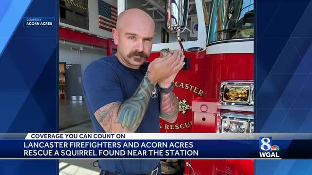 Lancaster firefighters help save baby squirrel's life - Vimarsana News